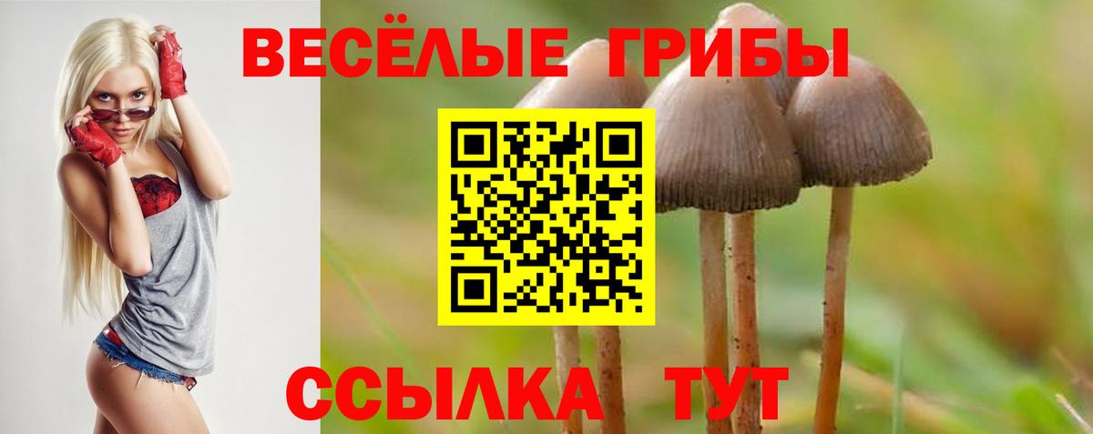 Галлюциногенные грибы Magic Shrooms Белореченск